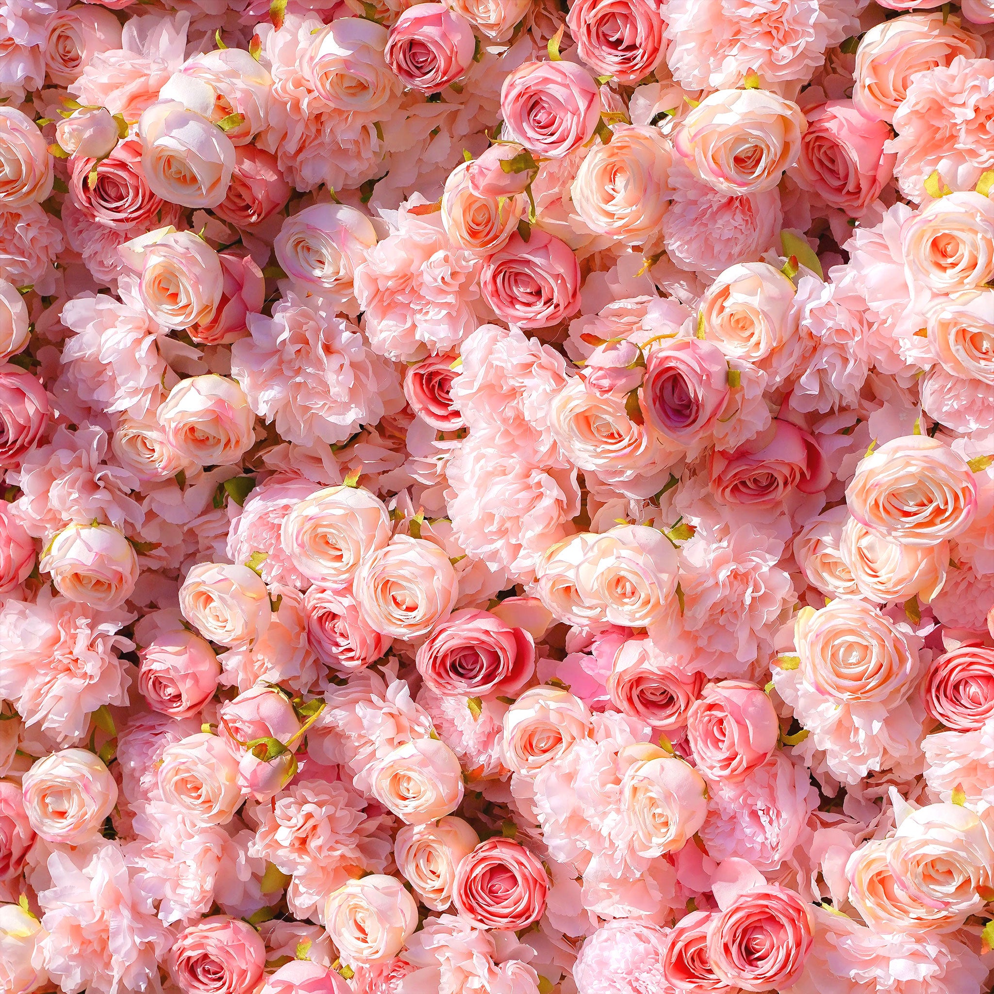 Artificial Pink Peony-Rose Flower Wall Background | AmourBlossom