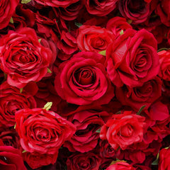 Flower Wall Wedding Backdrop - 8ft x 8ft Realistic 3D Artificial Red Rose Floral Wall | AmourBlossom