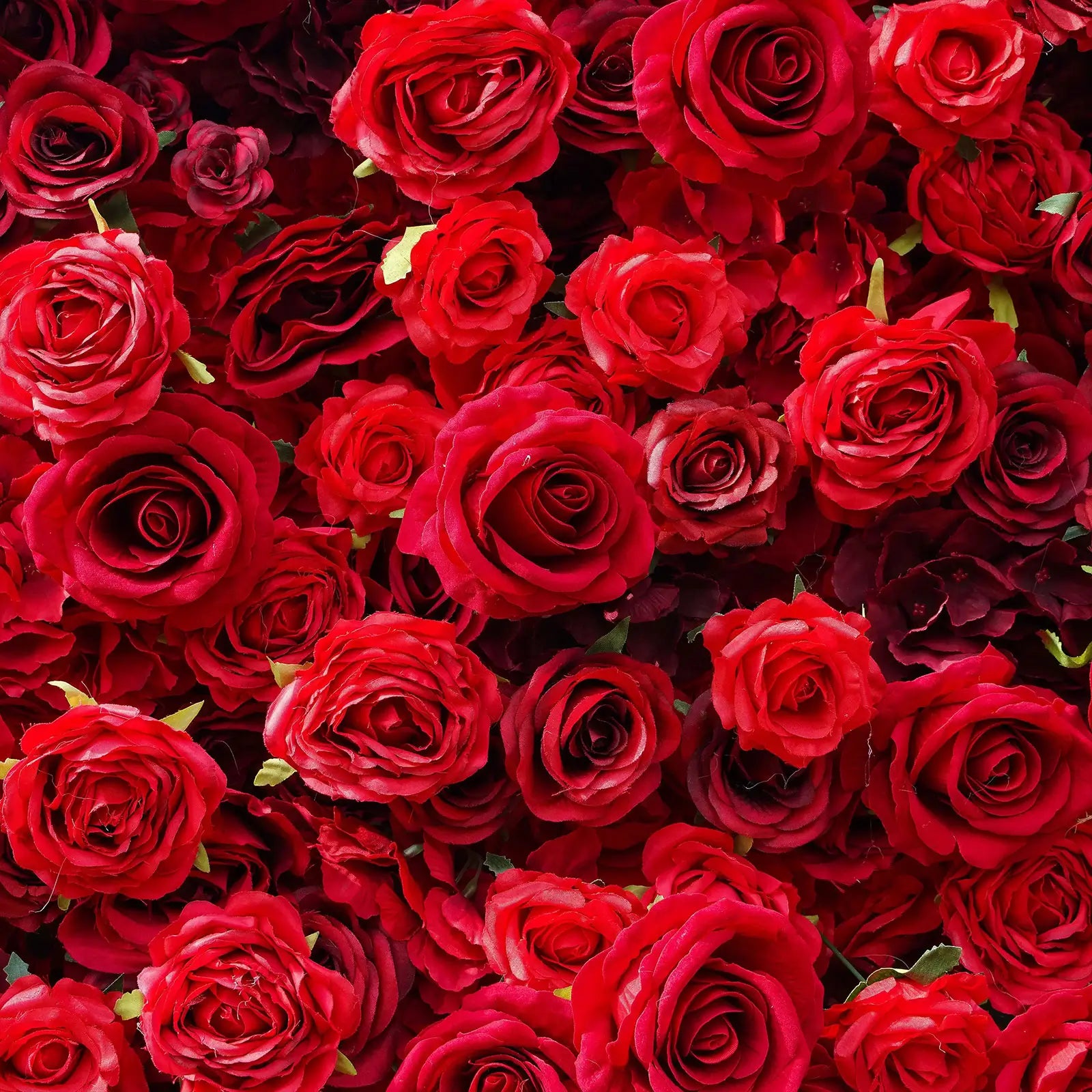 Flower Wall Wedding Backdrop - 8ft x 8ft Realistic 3D Artificial Red Rose Floral Wall | AmourBlossom